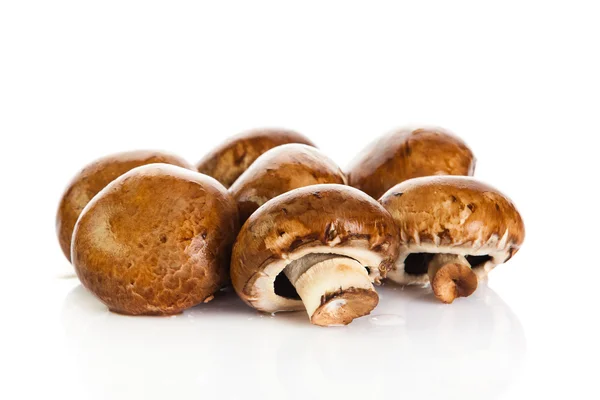 Fresh mushroom champignon isolated on white background . fresh — Stock Photo, Image