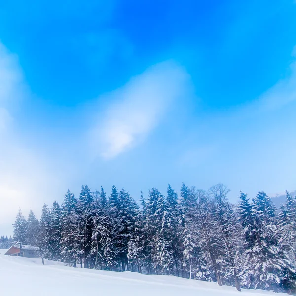 Ελβετικό χειμερινό τοπίο σεζόν — Φωτογραφία Αρχείου