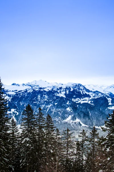 Swiss winter season landscape. — Stock Photo, Image