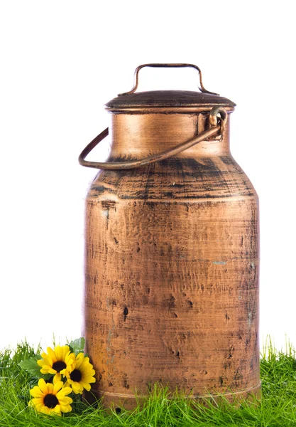 Milk can on green grass. retro milk container — Stock Photo, Image