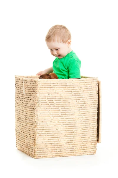 Little boy inside a box on a white background Stock Image