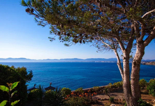 güzel manzara arka plan.