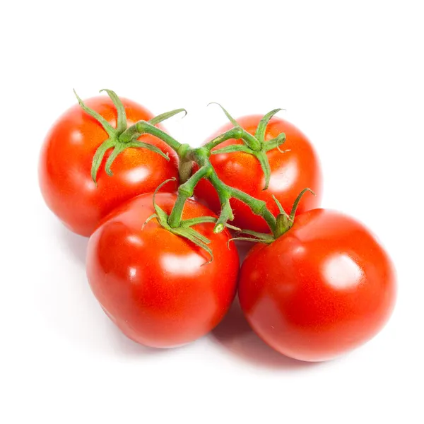 白で隔離されるつるのトマトのクローズ アップ。トマト支店 — ストック写真
