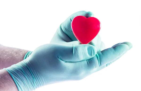 Medical doctor holding heart. Health insurance concept Royalty Free Stock Images