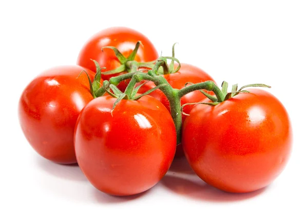 Primer plano de tomates en la vid aislados en blanco. Rama de tomate —  Fotos de Stock