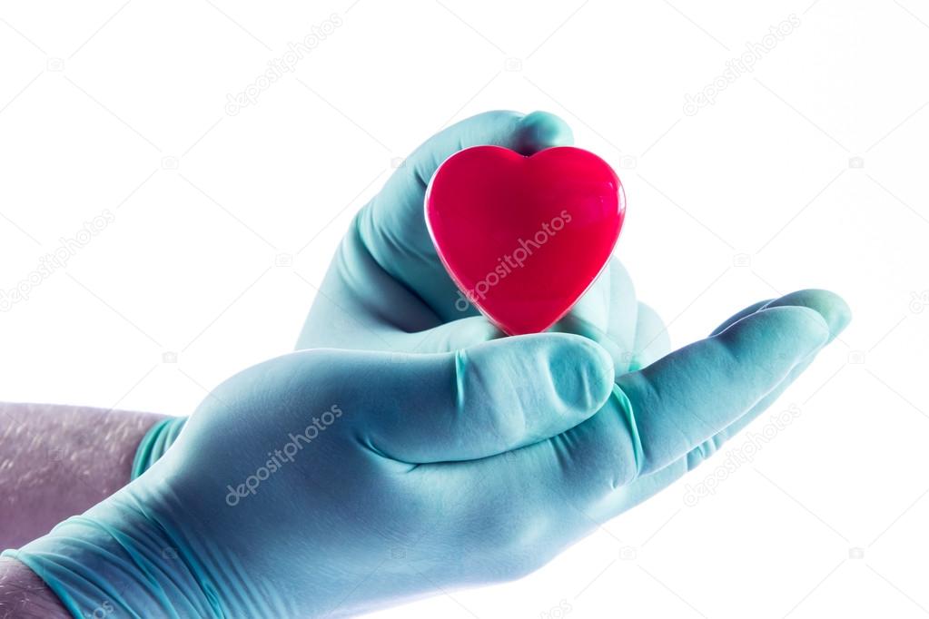 Medical doctor holding heart. Health insurance concept