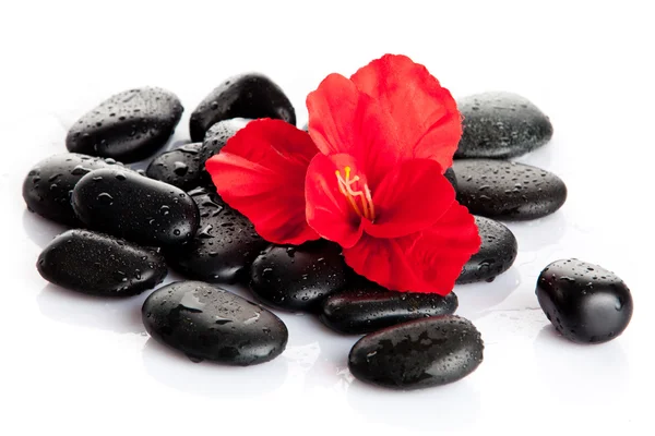 Piedras de spa y flor roja aisladas en blanco. aromaterapia con —  Fotos de Stock