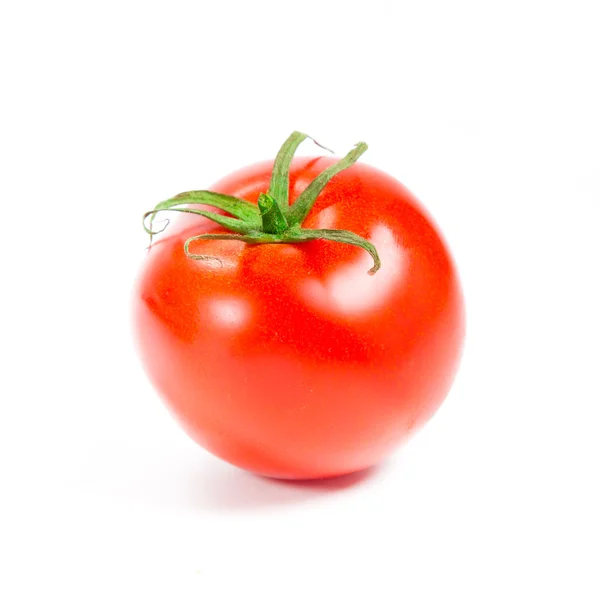 Tomaten — Stockfoto