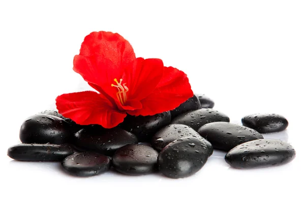 Piedras de spa y flor roja aisladas en blanco. aromaterapia con — Foto de Stock