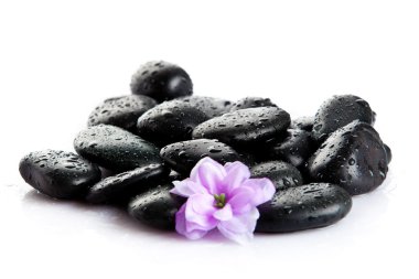 Spa taşlar ve üzerinde beyaz izole mor çiçek. taş çiçek