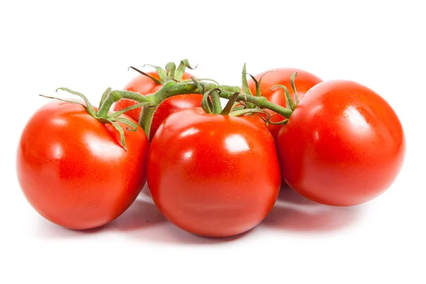 Primo piano di pomodori sulla vite isolato su bianco. Succo di pomodoro — Foto Stock