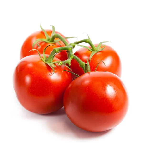 Primer plano de tomates en la vid aislados en blanco. Rama de tomate —  Fotos de Stock