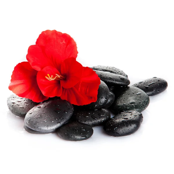 Piedras de spa y flor roja aisladas en blanco. aromaterapia con — Foto de Stock