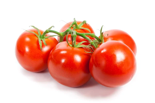 Closeup of tomatoes on the vine isolated on white. Tomato branch — Stock Photo, Image