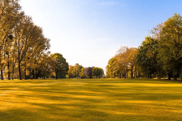 Landschaft mit Herbstwald. — Stockfoto