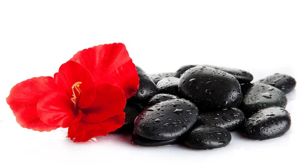 Piedras de spa y flor roja aisladas en blanco. aromaterapia con — Foto de Stock