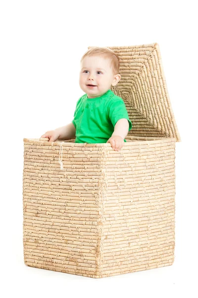 Little boy inside a box on a white background Royalty Free Stock Photos