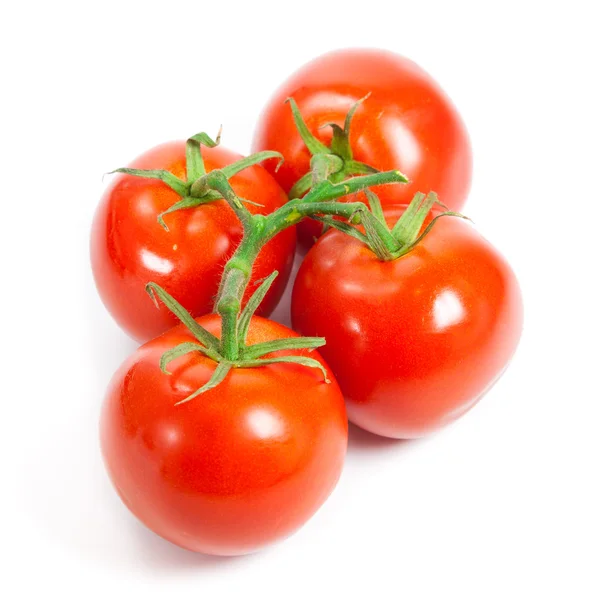 Zbliżenie pomidorów na winorośli na białym tle. Oddział pomidor — Zdjęcie stockowe