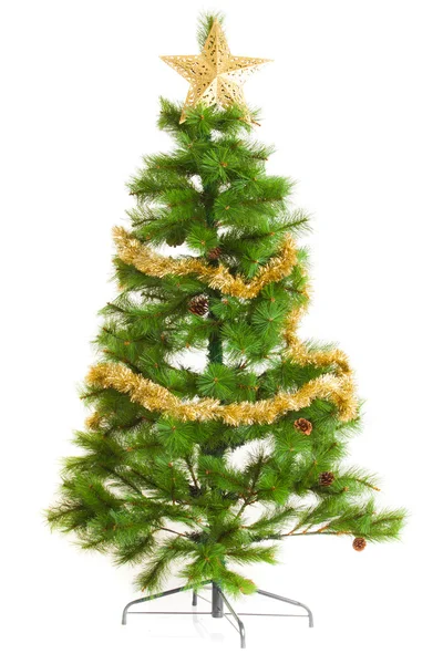 Christmas tree isolated. Stock Picture
