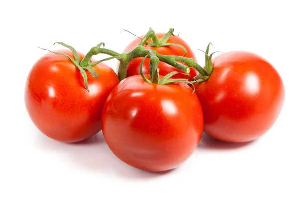 Closeup ντομάτες στην άμπελο απομονωμένα σε λευκό. υποκατάστημα ντομάτα — Φωτογραφία Αρχείου
