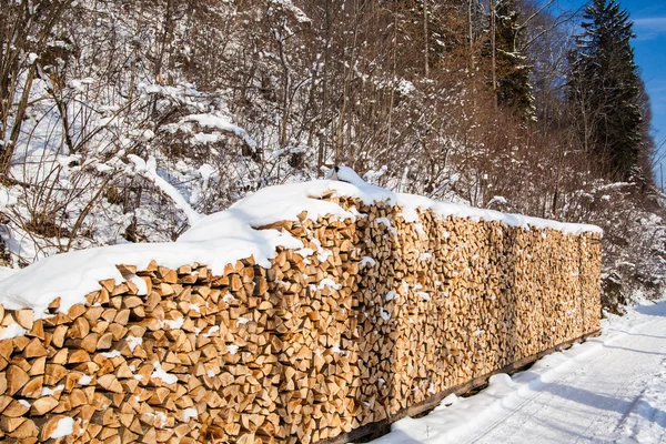 Pile de bois de chauffage. bois de chauffage enneigé en forêt hivernale — Photo