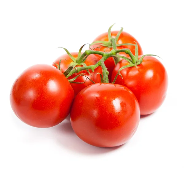 白で隔離されるつるのトマトのクローズ アップ。トマト支店 ロイヤリティフリーのストック写真