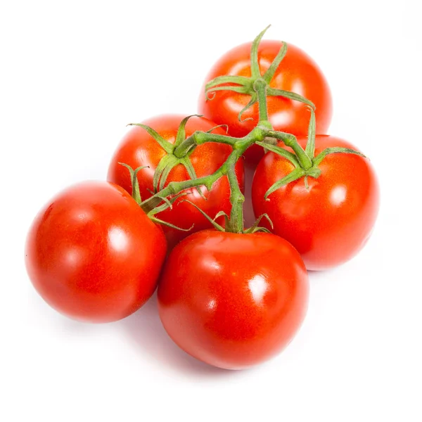 Close-up van tomaten op de wijnstok geïsoleerd op wit. tomaat branch — Stockfoto