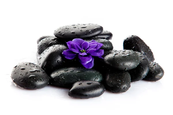 Spa stones with drops and flowers isolated on white — Stock Photo, Image