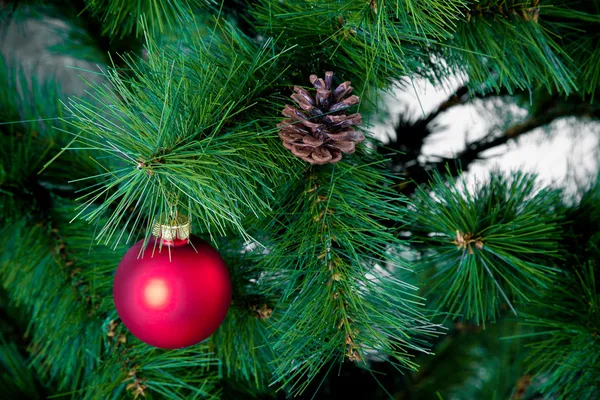 Decoração de Natal — Fotografia de Stock