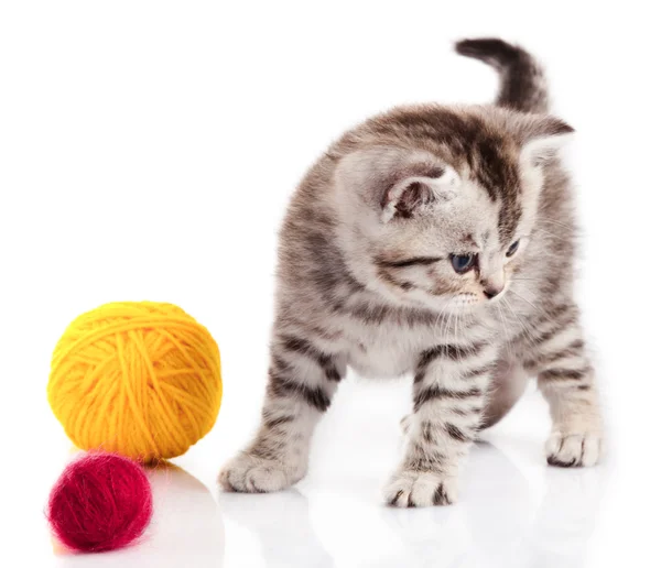 Kitten with balls of threads. little kitten on white background. — Stock Photo, Image