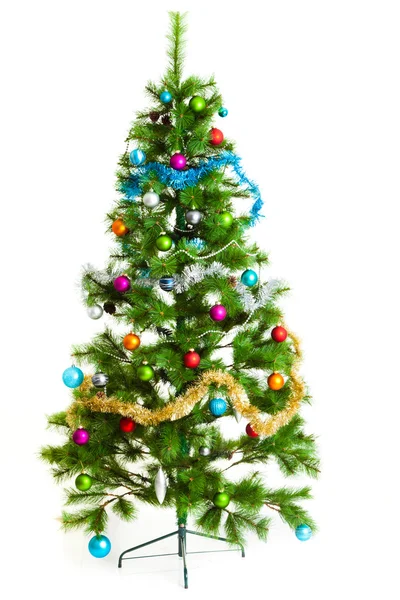 Vánoční stromek. — Stock fotografie