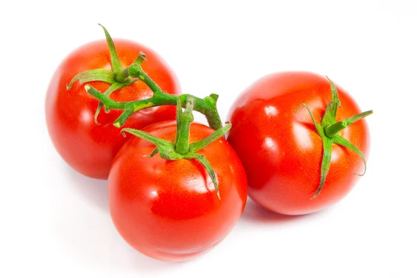 Close-up van tomaten op de wijnstok geïsoleerd op wit. — Stockfoto