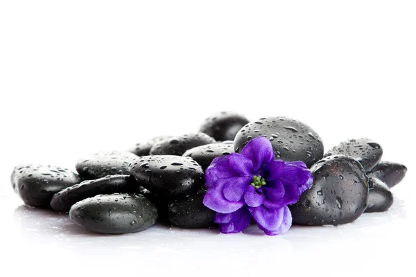 Pedras de spa com gotas e flores isoladas em branco — Fotografia de Stock