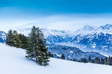 Güzel kış manzarası