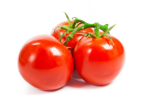 Tomato branch — Stock Photo, Image