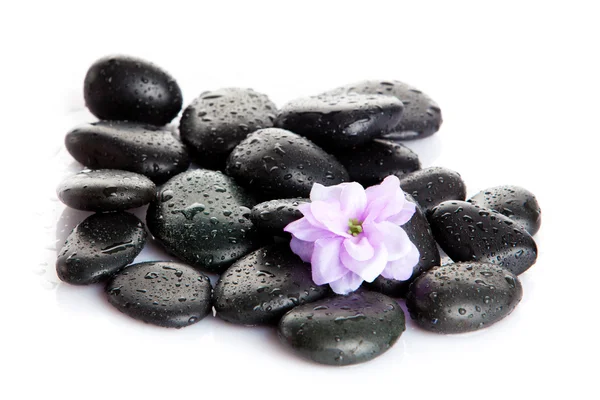 Wellness stones, zen steentjes. — Stockfoto
