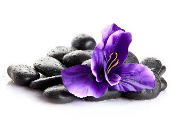 Spa taşı. Zen çakıl. taş spa ve sağlık