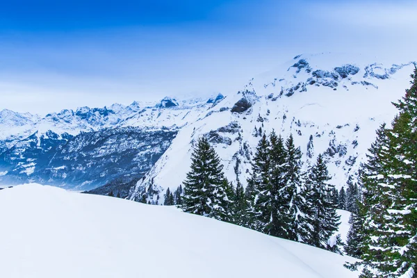 Bellissimo paesaggio nevoso con montagne — Foto Stock