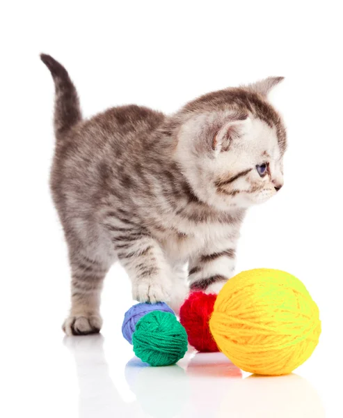 Gatito con bolas de hilos. pequeño gatito en blanco —  Fotos de Stock