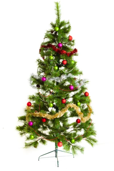 Christmas tree isolated. Royalty Free Stock Images