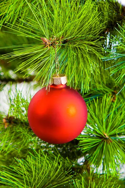 Decoratie op kerstboom — Stockfoto