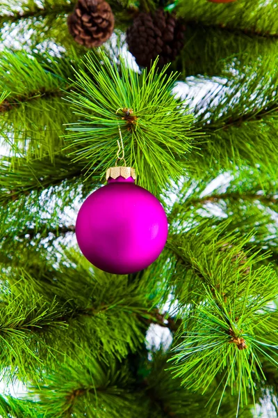 Decoración en árbol de Navidad — Foto de Stock