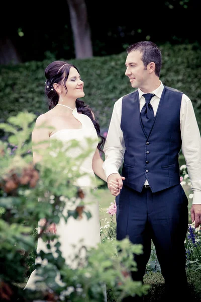 Pareja de boda — Foto de Stock