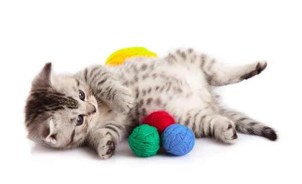 Kattunge med bollar av trådar. — Stockfoto