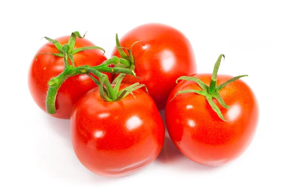 Primo piano di pomodori sulla vite isolato su bianco. Succo di pomodoro — Foto Stock