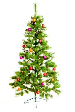 Beyaz üzerine izole edilmiş Noel ağacı