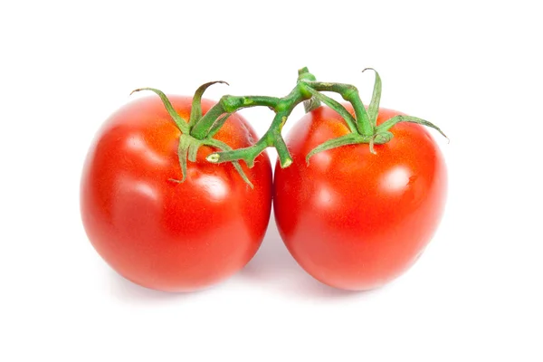 Closeup of tomatoes on the vine isolated on white. — Stock Photo, Image