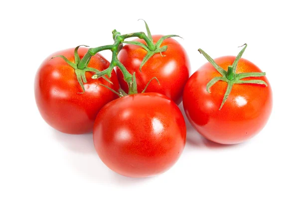 Close-up van tomaten op de wijnstok geïsoleerd op wit. — Stockfoto