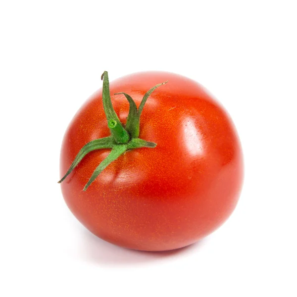 Closeup de tomates na videira isolado em branco. Ramo de tomate — Fotografia de Stock