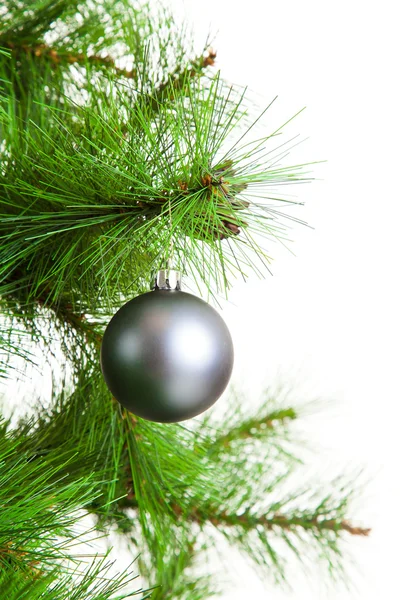 Kerstboom bal en Spar — Stockfoto